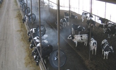 現代畜牧場綜合噴霧系統 降溫、消毒與除臭的技術革新與應用