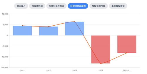 中創股份 上市光環下的業績變奏與增長隱憂
